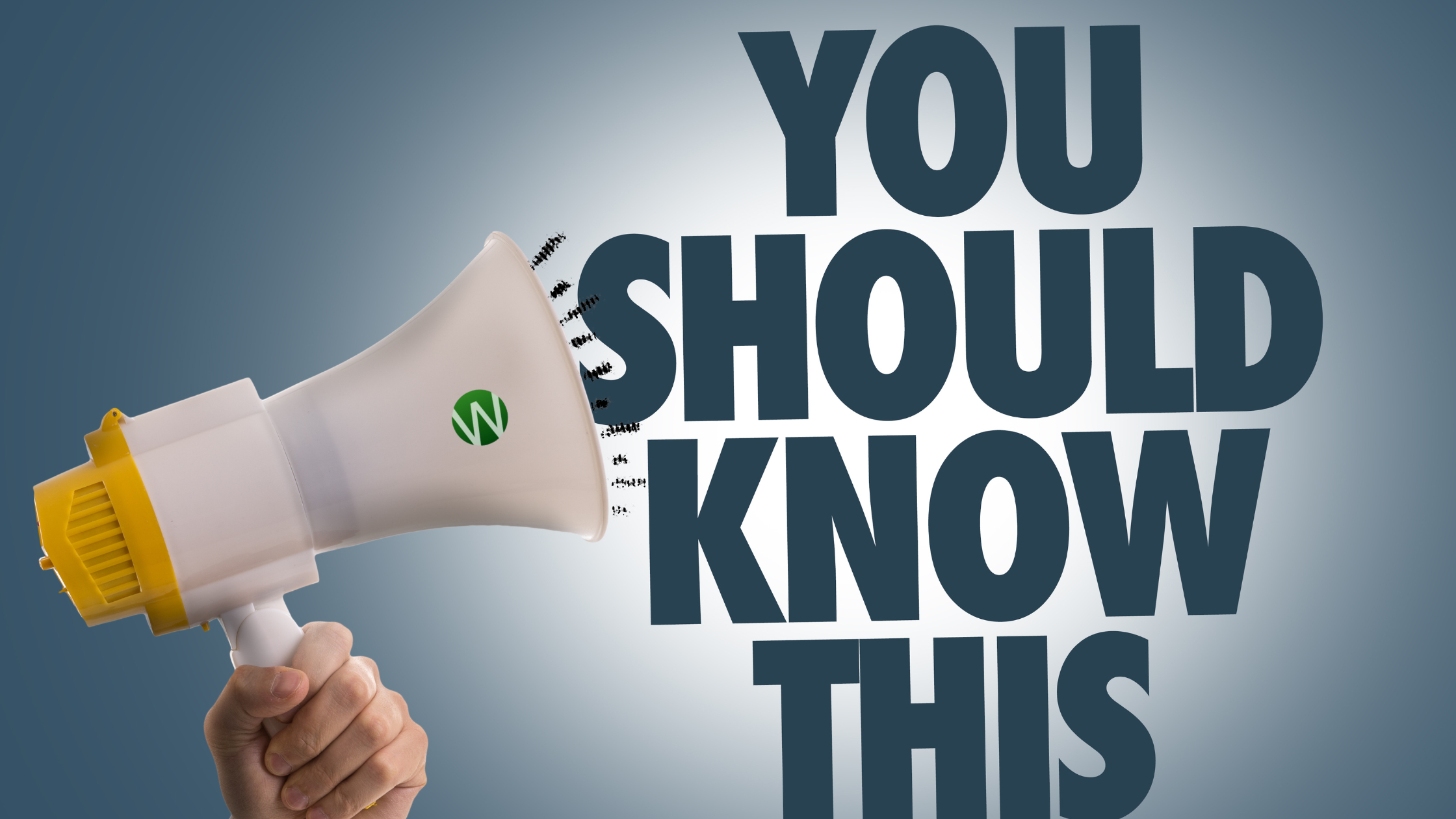 Manual vs. Automatic Driving Lessons: Which One Should You Choose?