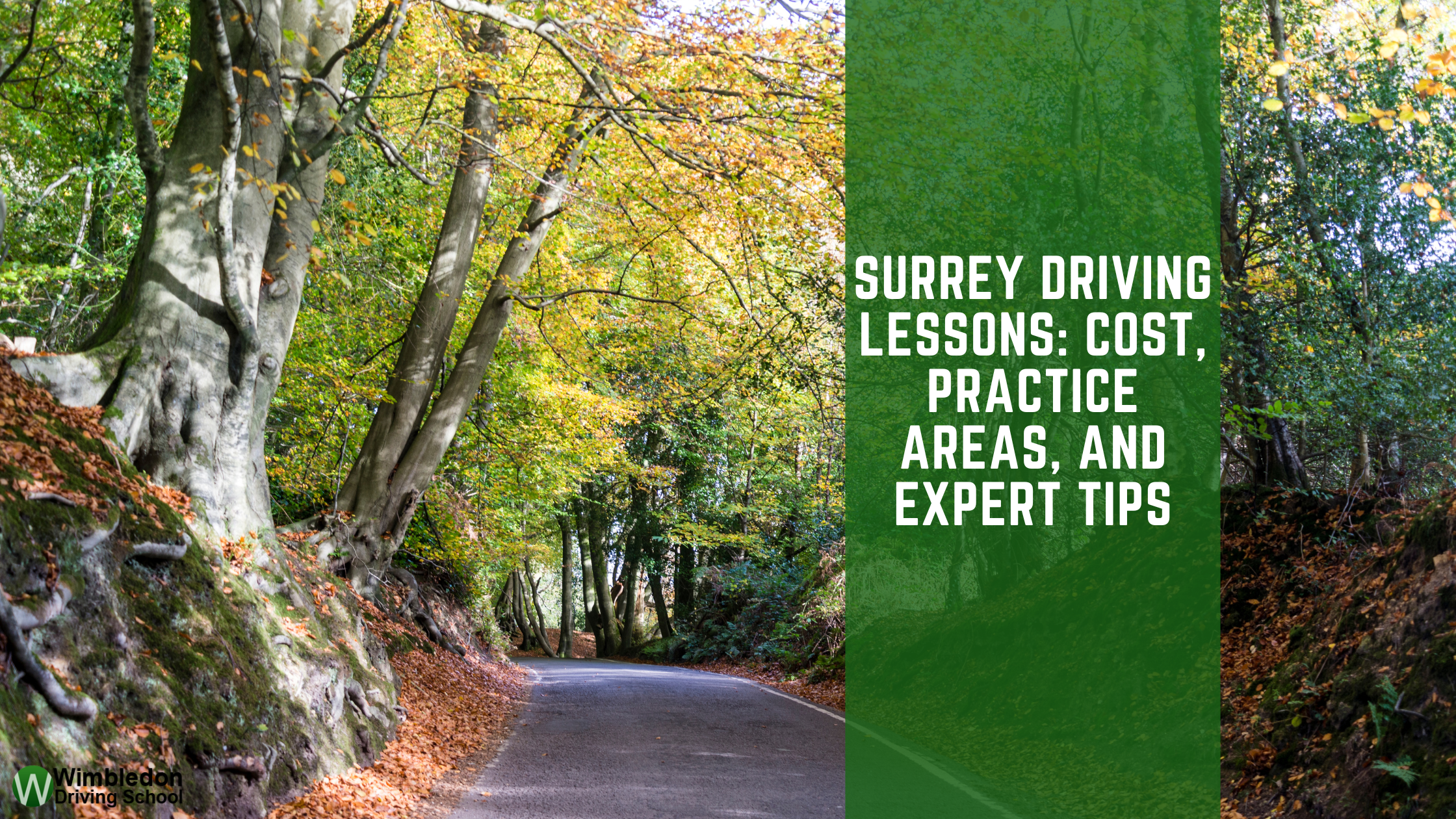 Surrey Driving Lessons: Cost, Practice Areas, and Expert Tips
