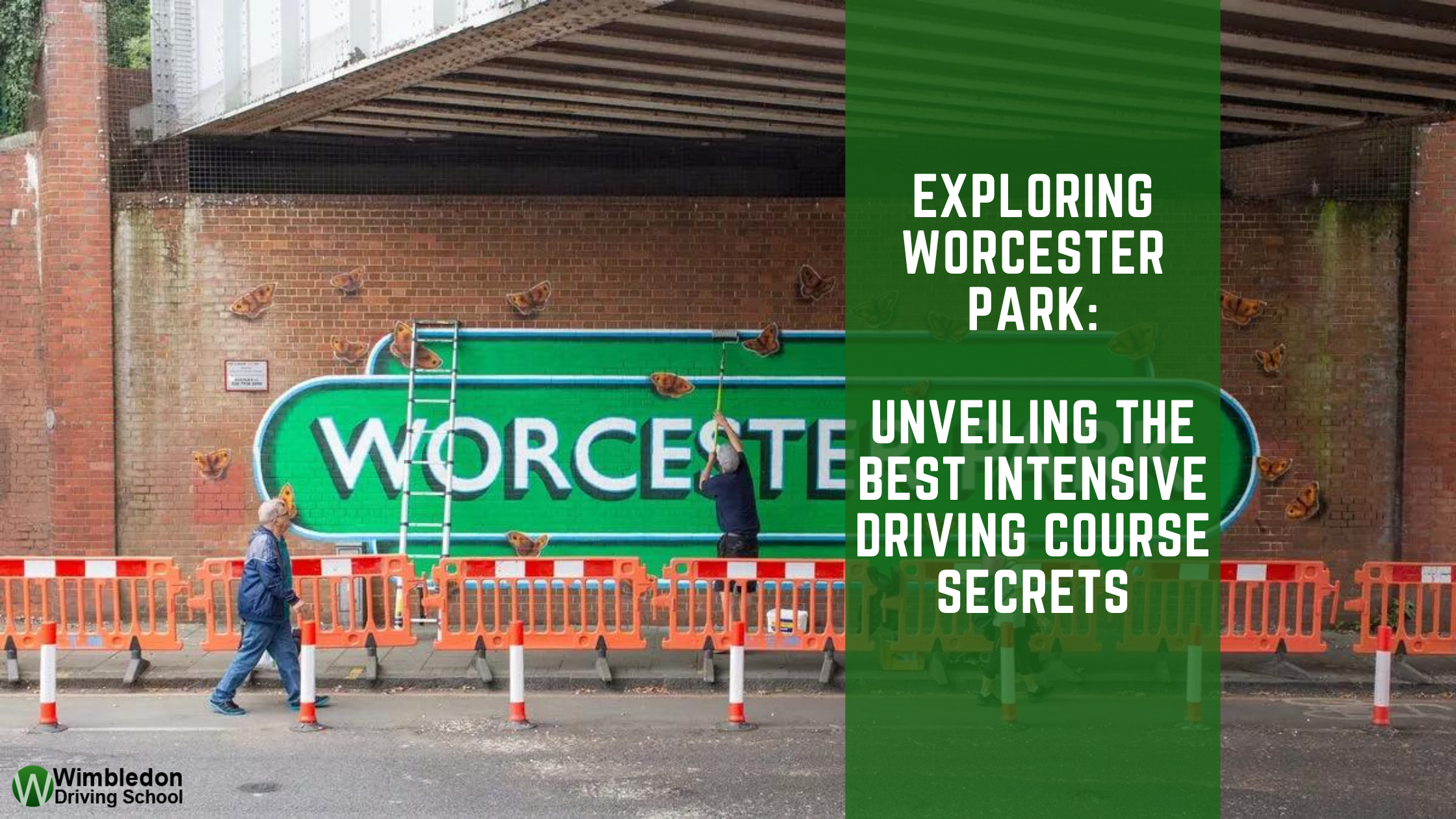 Intensive driving course secrets: Mastering quick learning techniques for effective driving skills